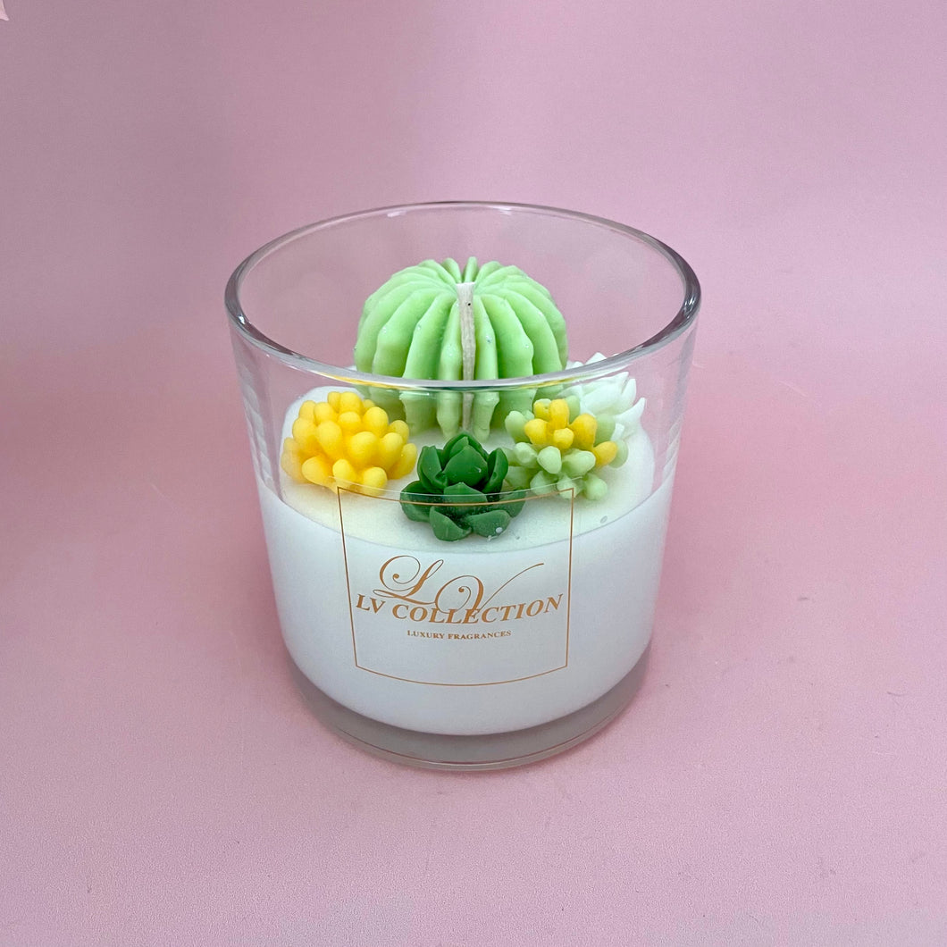 Cactus candles