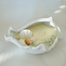 Conch seashell large