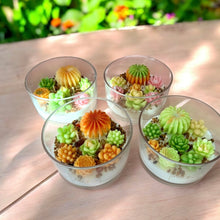 Floral - Succulent Garden