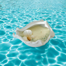 Conch seashell large